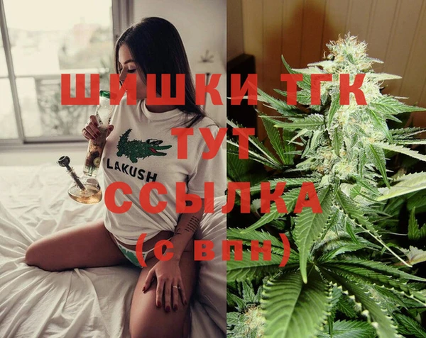 мет Касимов