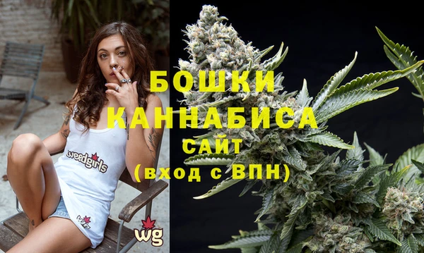 винт Карпинск