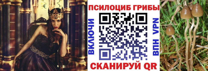 Галлюциногенные грибы мицелий  купить наркоту  Междуреченск 